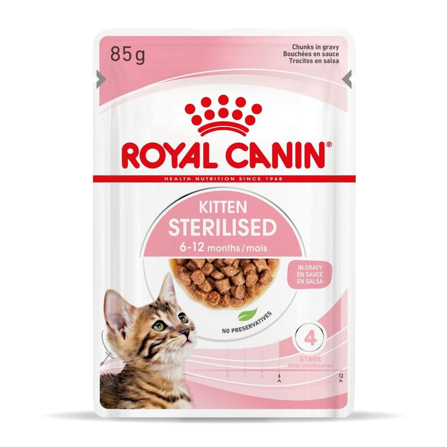 RC-SPT-WET-KittenSter-CIG-MV-3-es_ES