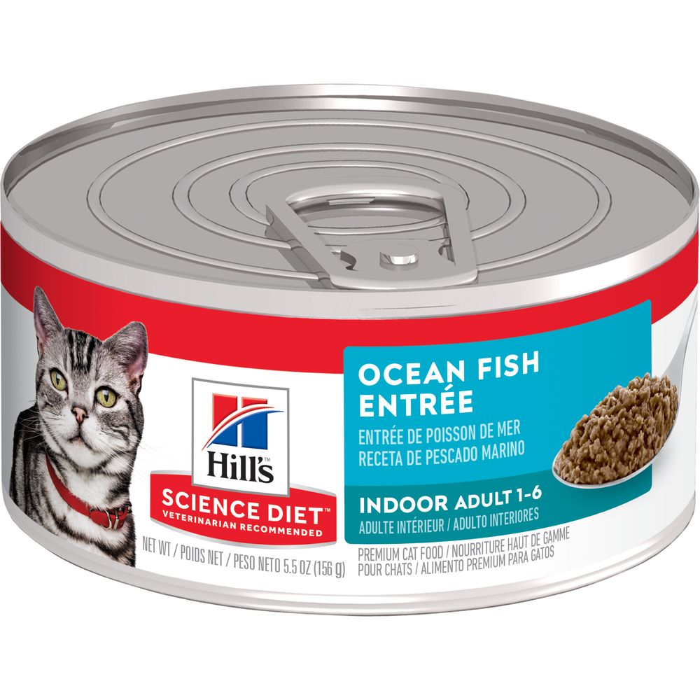 Hill's Science Diet | Alimento húmedo para gatos adultos Indoor. Receta de pescado de mar (Pack de 6 latas de 156 g)