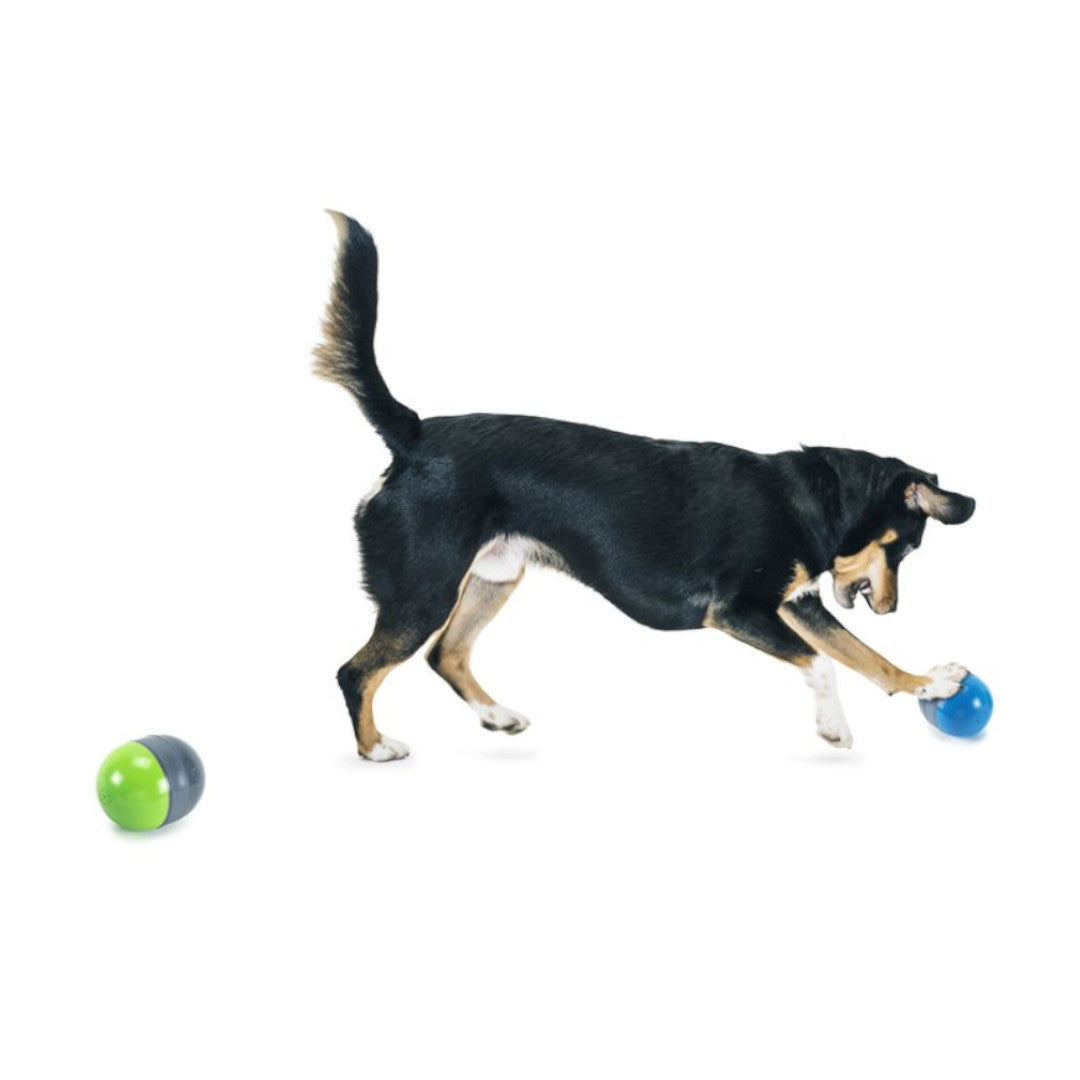 PetSafe Ricochet Electronic Dog Toy en uso