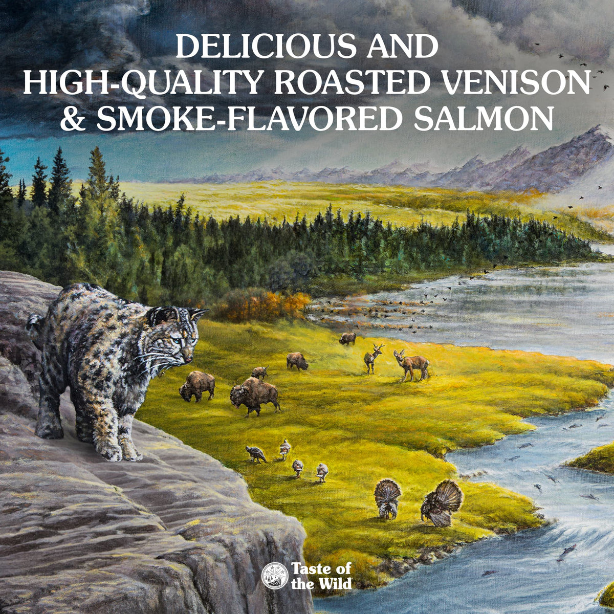 Taste of the Wild | Rocky Mountain gatos con venado asado y salmón ahumado