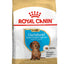 ROYAL CANIN | Alimento seco para perros cachorros Dachshund — imagen oficial 1