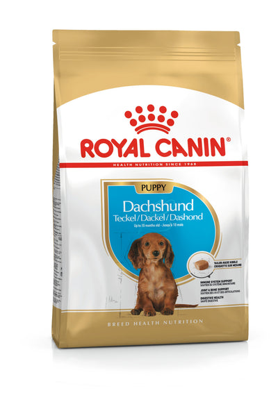 ROYAL CANIN | Alimento seco para perros cachorros Dachshund — imagen oficial 1