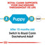 ROYAL CANIN | Alimento seco para perros cachorros Dachshund — imagen oficial 3