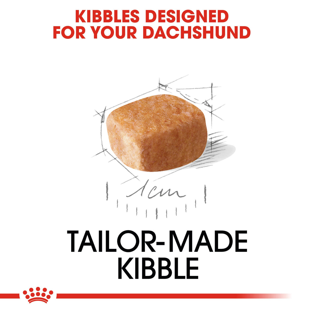 ROYAL CANIN | Alimento seco para perros cachorros Dachshund — imagen oficial 4