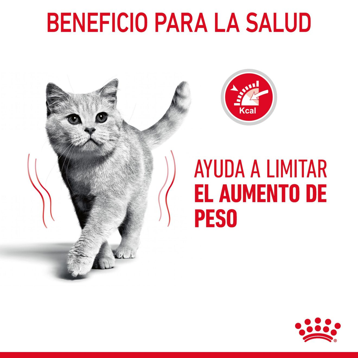 ROYAL CANIN | Alimento seco para gatos Light Weight Care — imagen oficial 4