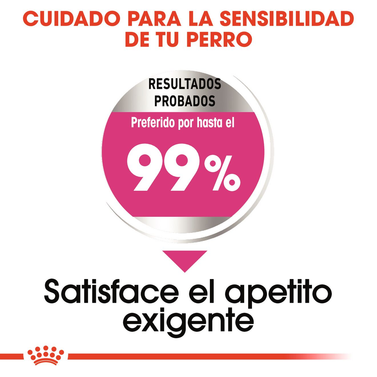 ROYAL CANIN | Alimento seco para perros adultos de razas pequeñas Exigent — imagen oficial 3