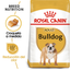 ROYAL CANIN | Alimento seco para perros adultos Bulldog inglés — imagen oficial 2