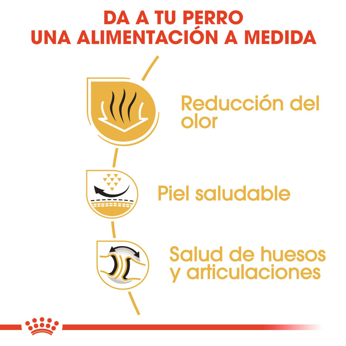 ROYAL CANIN | Alimento seco para perros adultos Bulldog inglés — imagen oficial 4