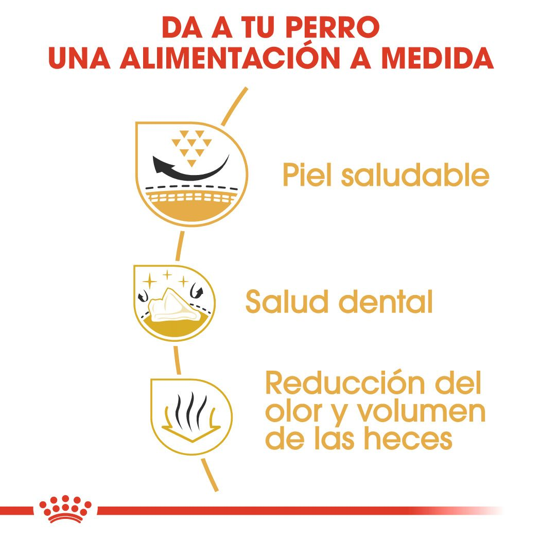 ROYAL CANIN | Alimento seco para perros adultos Shih Tzu — imagen oficial 4