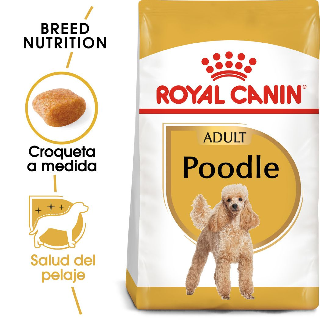 ROYAL CANIN | Alimento seco para perros adultos Poodle — imagen oficial 2
