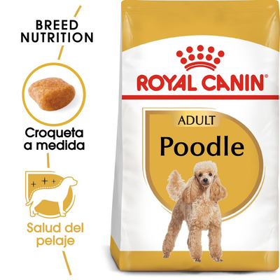 ROYAL CANIN | Alimento seco para perros adultos Poodle — imagen oficial 2