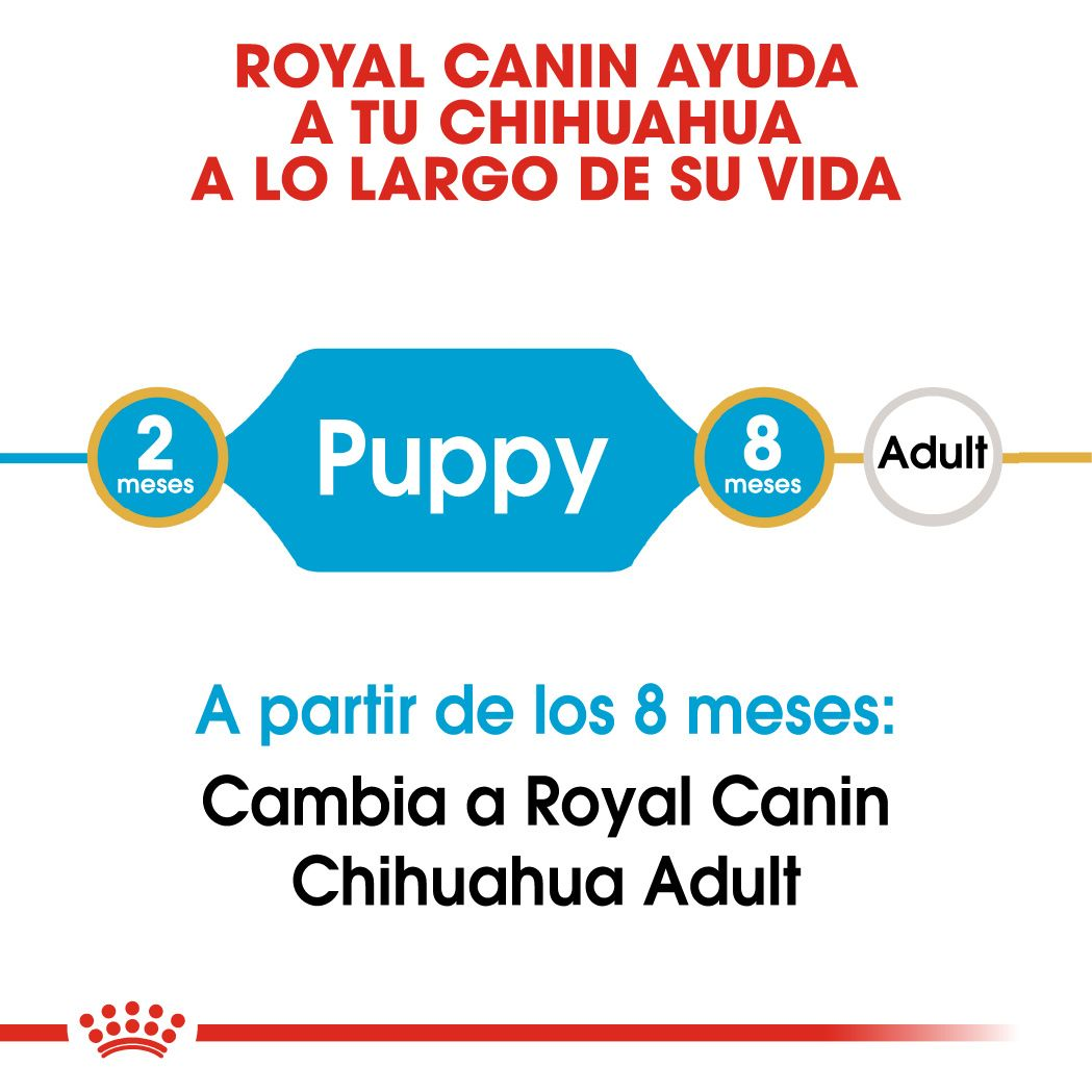 ROYAL CANIN | Alimento seco para perros cachorros Chihuahua — imagen oficial 4