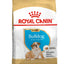 ROYAL CANIN | Alimento seco para perros cachorro Bulldog inglés — imagen oficial 1