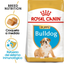 ROYAL CANIN | Alimento seco para perros cachorro Bulldog inglés — imagen oficial 2