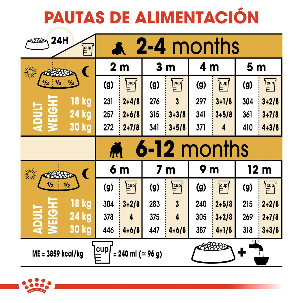 ROYAL CANIN | Alimento seco para perros cachorro Bulldog inglés — imagen oficial 3