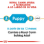 ROYAL CANIN | Alimento seco para perros cachorro Bulldog inglés — imagen oficial 4