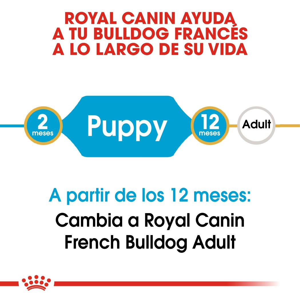 ROYAL CANIN | Alimento seco para perros cachorros Bulldog francés — imagen oficial 4