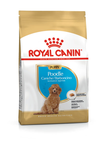 ROYAL CANIN | Alimento seco para perros cachorros Poodle — imagen oficial 1