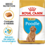ROYAL CANIN | Alimento seco para perros cachorros Poodle — imagen oficial 2
