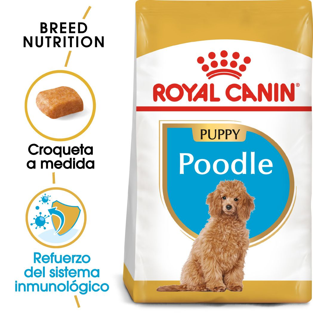 ROYAL CANIN | Alimento seco para perros cachorros Poodle — imagen oficial 2