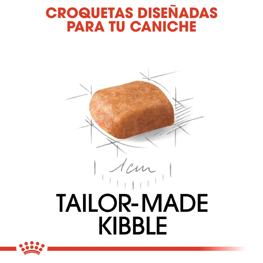 ROYAL CANIN | Alimento seco para perros cachorros Poodle — imagen oficial 3