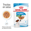 ROYAL CANIN | Alimento húmedo para perros cachorros de razas pequeñas (Pack de 12 bolsitas de 85g) — imagen oficial 2