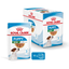 ROYAL CANIN | Alimento húmedo para perros cachorros de razas pequeñas (Pack de 12 bolsitas de 85g) — imagen oficial 4