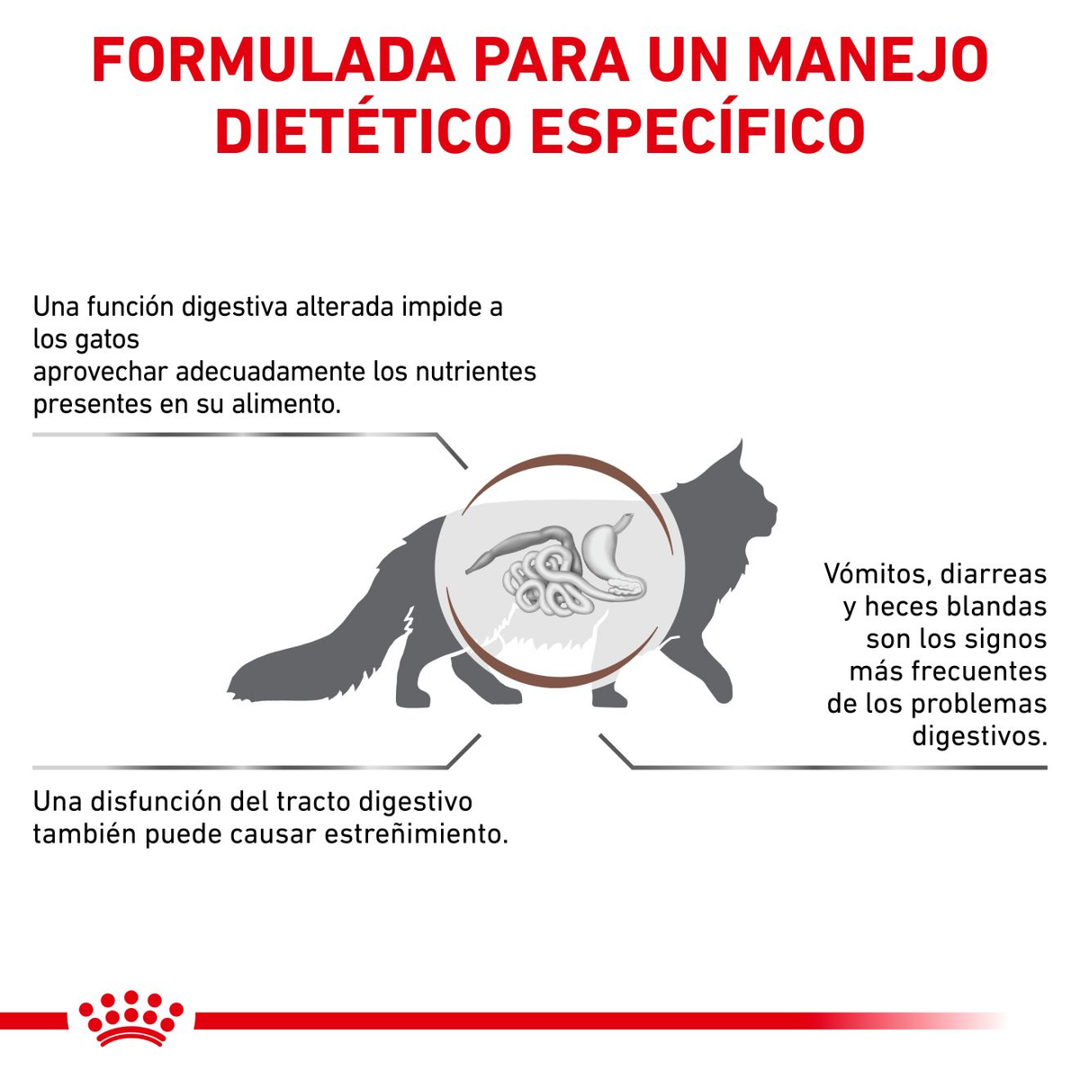 ROYAL CANIN | Alimento seco para gatos Gastrointestinal Fibre Response — imagen oficial 3