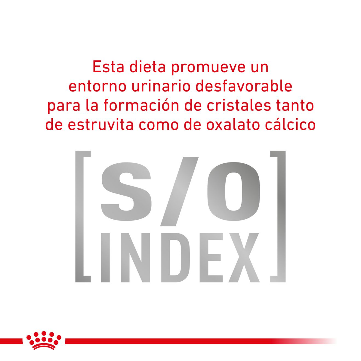 ROYAL CANIN | Alimento seco para gatos Gastrointestinal Fibre Response — imagen oficial 4