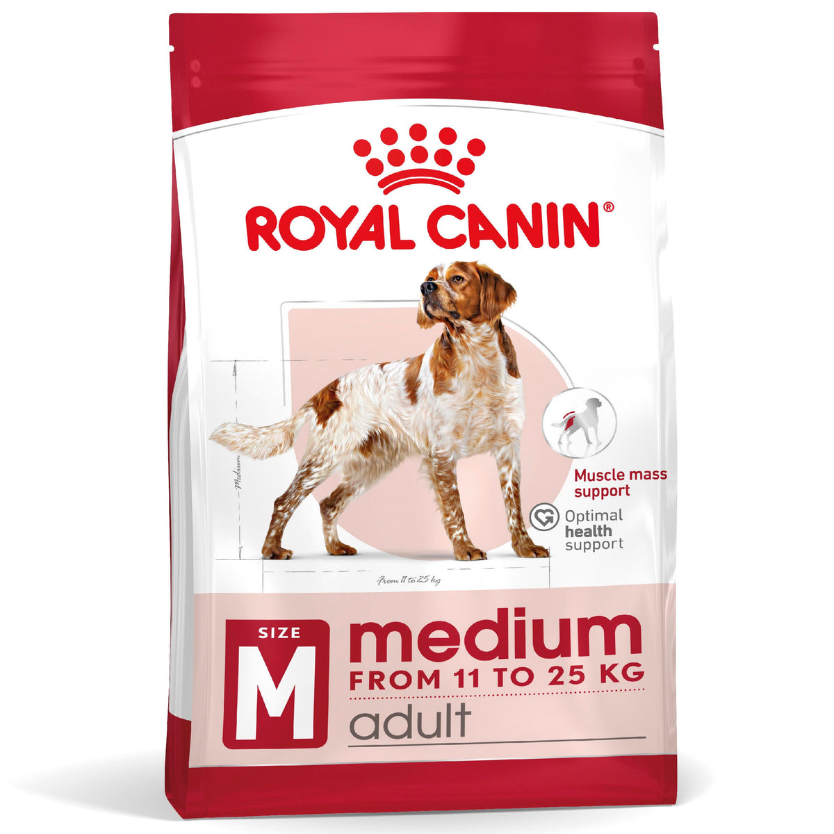 ROYAL CANIN | Alimento seco para perros adultos de razas medianas — imagen oficial 2