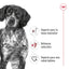 ROYAL CANIN | Alimento seco para perros adultos de razas medianas — imagen oficial 3