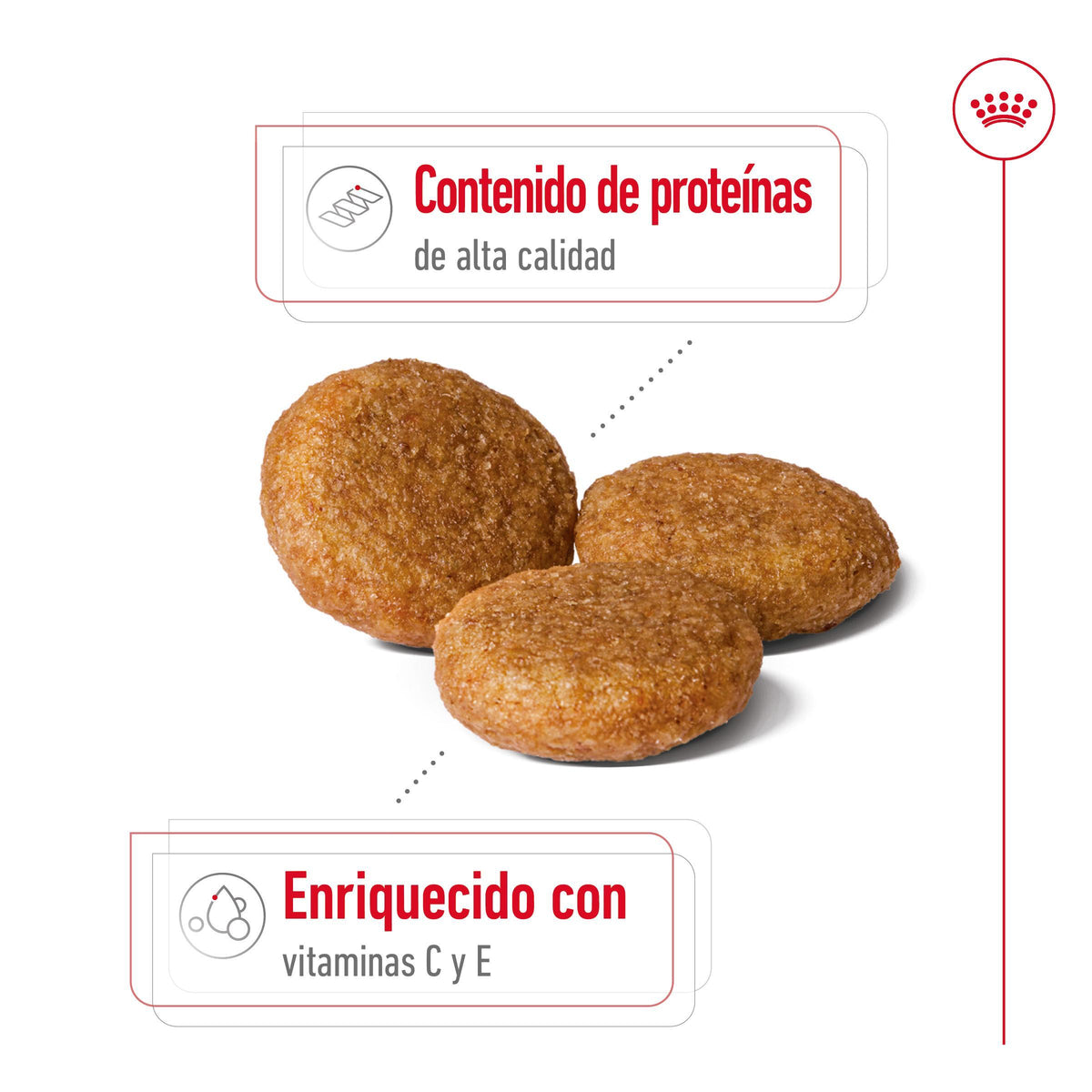 ROYAL CANIN | Alimento seco para perros adultos de razas medianas — imagen oficial 4
