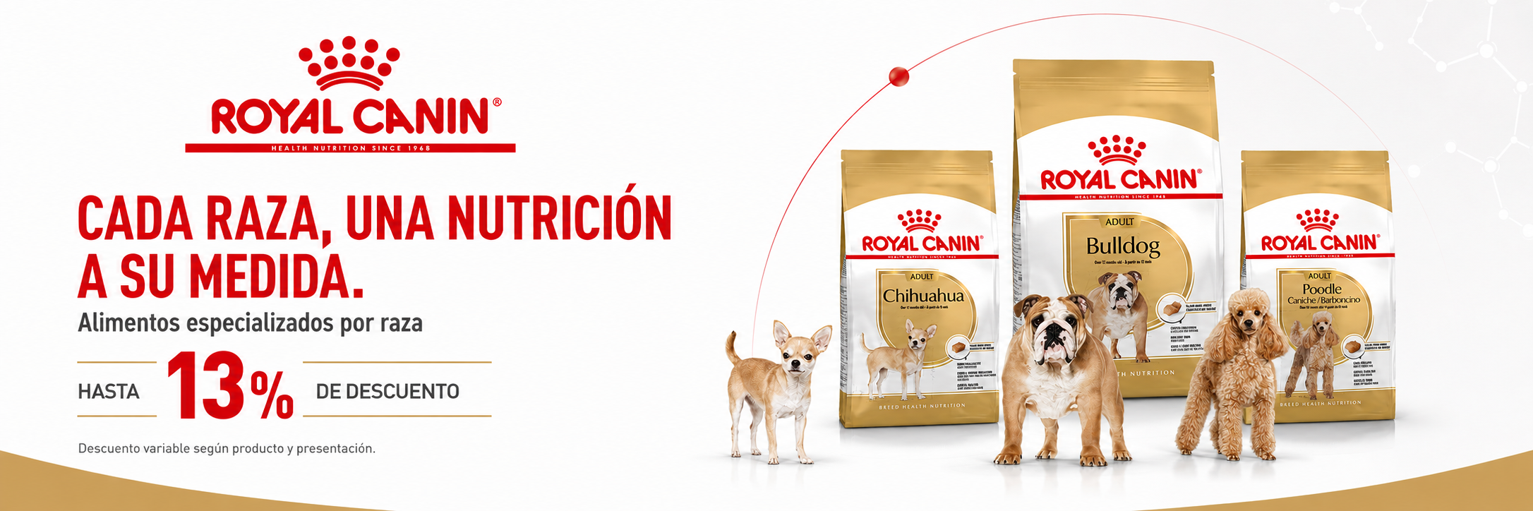 Royal Canin por raza: hasta 13% de descuento según producto y presentación.