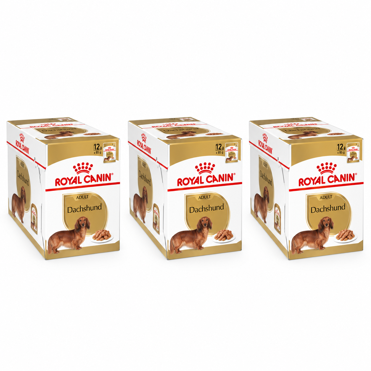 Royal Canin Pack Dachshund Adult 36 pouches de 85 g (1 + 2 de regalo) — imagen referencial generada a partir del afiche del proveedor.