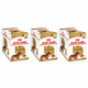 Royal Canin Pack Dachshund Adult 36 pouches de 85 g (1 + 2 de regalo) — imagen referencial generada a partir del afiche del proveedor.