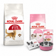Royal Canin Pack Fit 32 2 kg + Pack Kitten 400 g de regalo — imagen referencial generada a partir del afiche del proveedor.