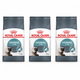 Royal Canin Pack Hairball Care 3 bolsas de 2 kg (1 + 2 de regalo) — imagen referencial generada a partir del afiche del proveedor.