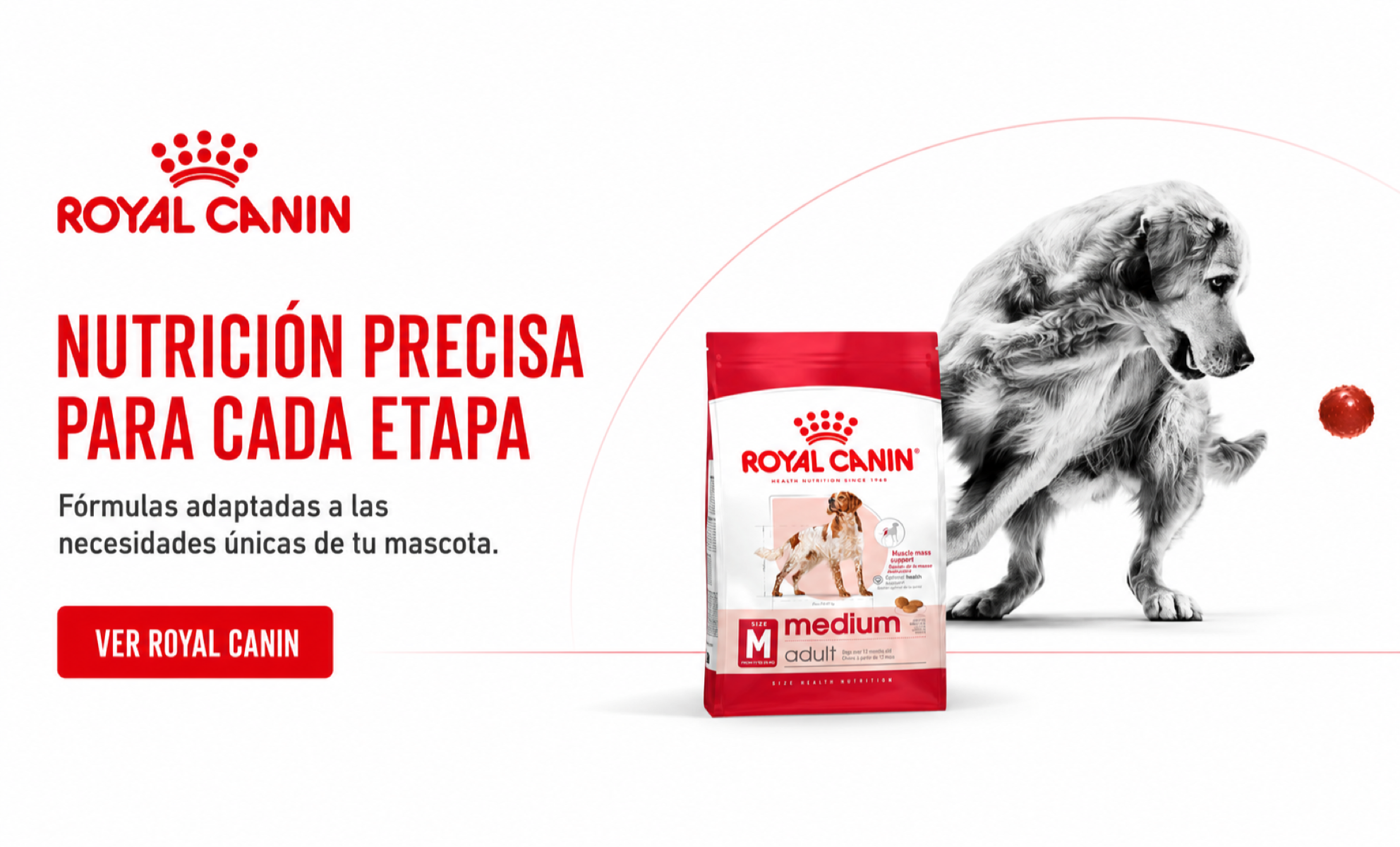 Royal Canin: nutrición precisa para cada etapa de perros y gatos.
