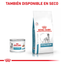 Royal Canin Hypoallergenic lata para perros · también disponible en seco