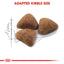Royal Canin Indoor 27 · croqueta adaptada