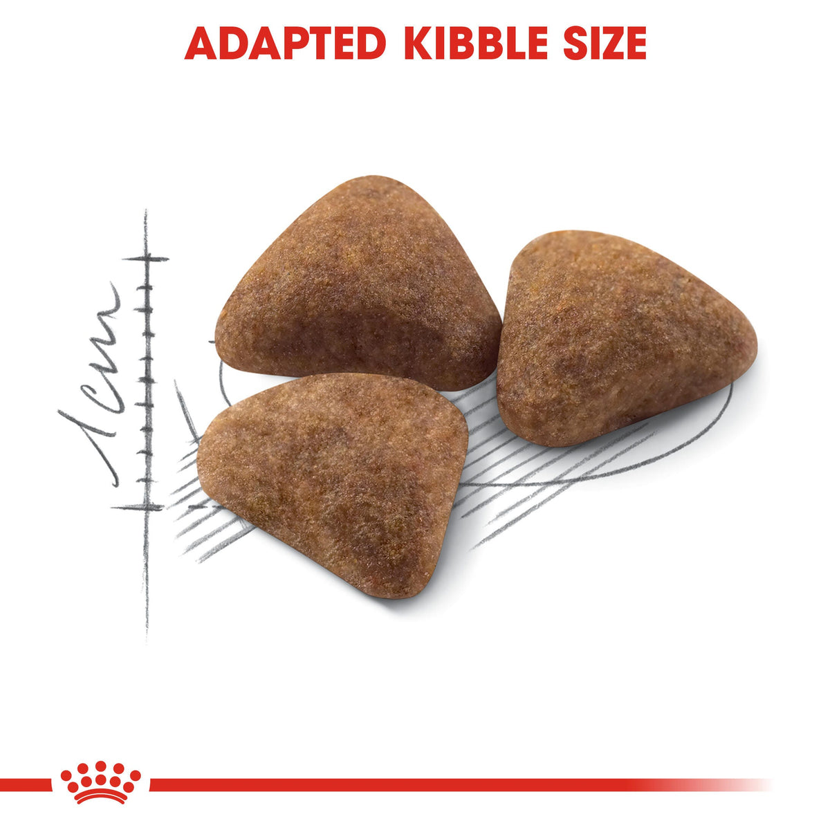 Royal Canin Indoor 27 · croqueta adaptada