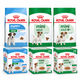 Royal Canin Pack Mini completo: Puppy, Adult y Adult 8+ con pouches — imagen referencial generada a partir del afiche del proveedor.