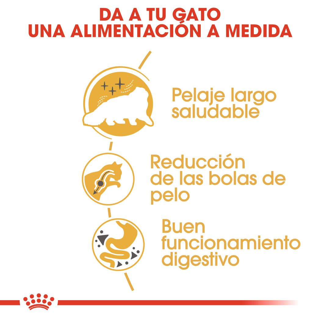 Royal Canin Persian Adult · alimentación a medida