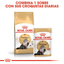Royal Canin Persian Adult · combina sobre y croquetas