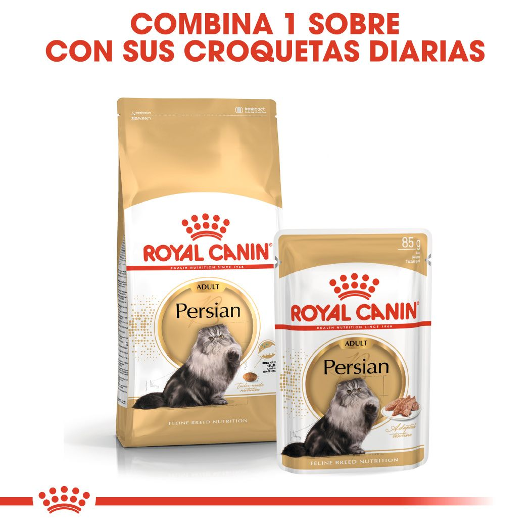 Royal Canin Persian Adult · combina sobre y croquetas