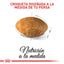 Royal Canin Persian Adult · croqueta adaptada a la raza