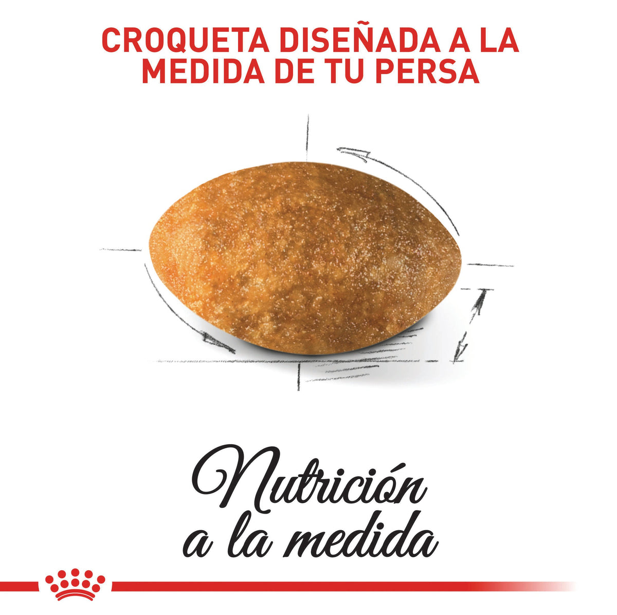Royal Canin Persian Adult · croqueta adaptada a la raza