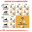 Royal Canin Persian Adult · pautas de alimentación