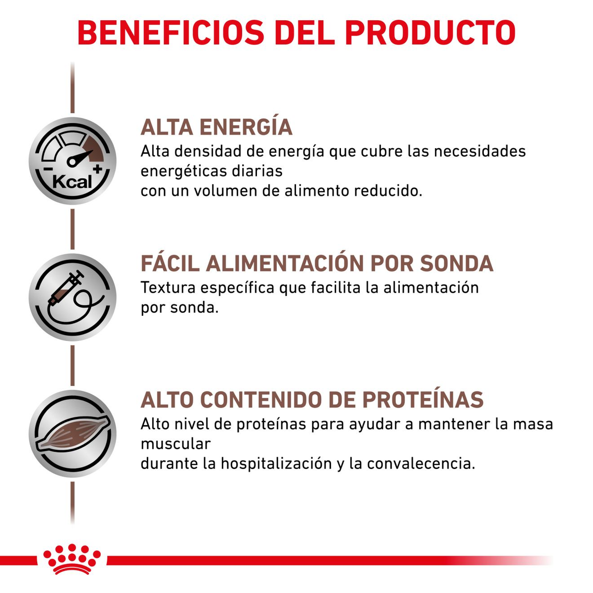 Royal Canin Recovery lata · beneficios del producto