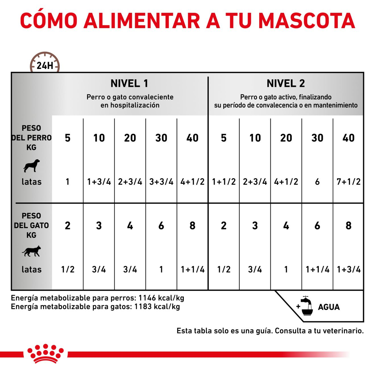 Royal Canin Recovery lata · cómo alimentar a tu mascota